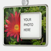 Rood IJzerblazer, kleurrijk tapijt Plant Verzilverd Omlijst Ornament (Links)