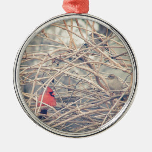 Rood in een droeve winter door de engelandvlek. metalen ornament