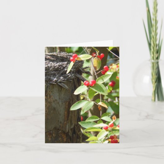 Rood in het bos kaart (Voorkant)