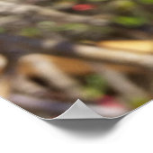 rood in lente poster (Hoek)