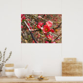 rood in lente poster (Keuken)