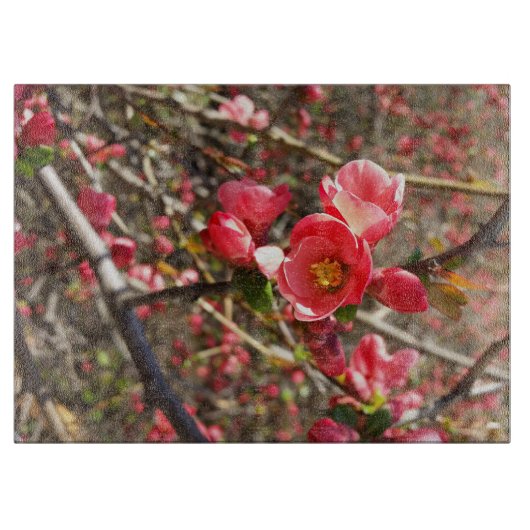 rood in lente snijplank (Voorkant)