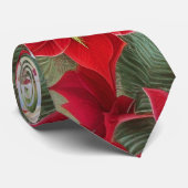 Rood in witte kerst Amaryllis in pine Stropdas (Opgerold)