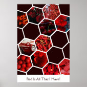 Rood is alles wat ik heb! Hexagon 11 Fotocollage Poster (Voorkant)