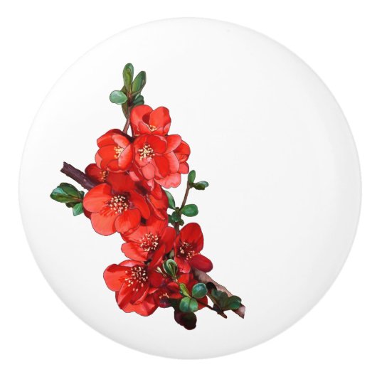 Rood Japans konijnenbrood wit Keramische Knop (Voorkant)