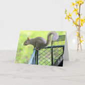 Rood Kaart (Gele Bloem)