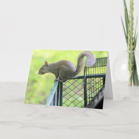 Rood Kaart (Voorkant)