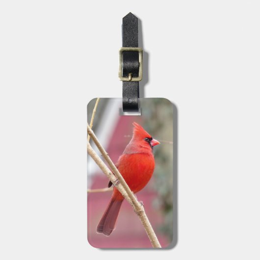 Rood kardinaal Bagagelabel (Voorkant verticaal)