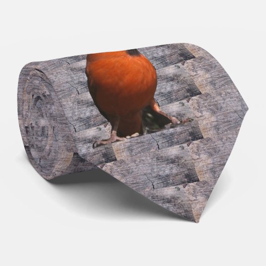 Rood kardinaal (groot) Stropdas (Opgerold)