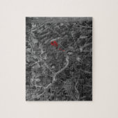 Rood kardinaal in een zwarte en witte boom legpuzzel (Verticaal)