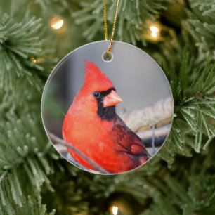 Rood kardinaal keramisch decoratief ornament