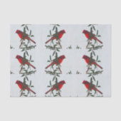 Rood kardinaal kerstfeest tissuepapier (Voorkant)