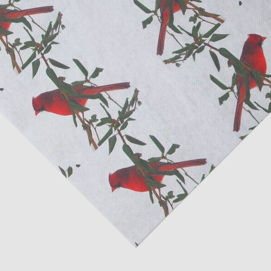 Rood kardinaal kerstfeest tissuepapier (Detail)