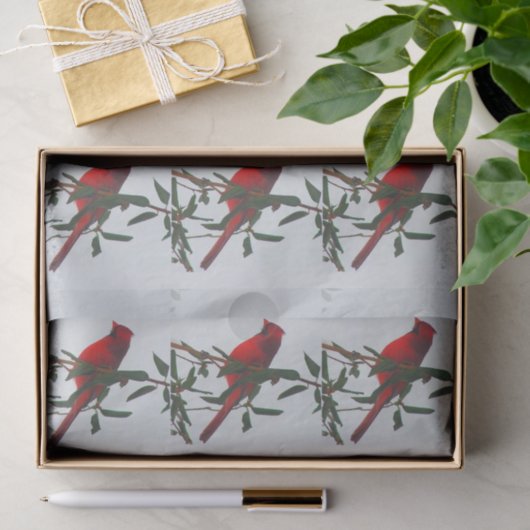 Rood kardinaal kerstfeest tissuepapier (Geschenk)