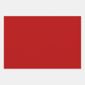 Rood kardinaal kerstpakket gecoördineerd inpakpapier vel (Voorkant 2)