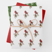 Rood kardinaal kerstpakket gecoördineerd inpakpapier vel (In situ)