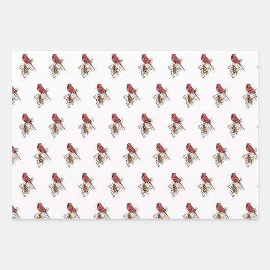 Rood kardinaal kerstpakket gecoördineerd inpakpapier vel (Voorkant)