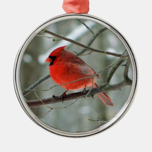 Rood kardinaal Premium-Ornament Metalen Ornament (Voorkant)