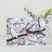 Rood kardinaal sneeuwblaasje Fotokerstflat Feestdagenkaart (Staand voorkant)