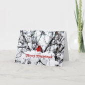  rood kardinaal SneeuwfotoKerstfeest Feestdagen Kaart (Voorkant)