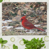 Rood kardinaal vogel in bladeren theedoek (Gevouwen)