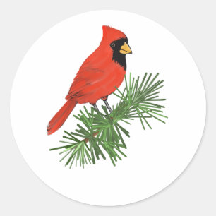 Rood kardinaal vogel op pijnboom ronde sticker