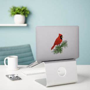Rood kardinaal vogel op pijnboom sticker