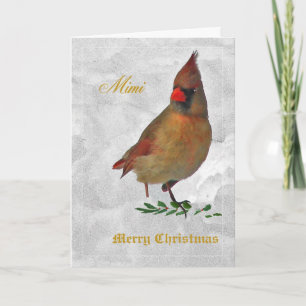 Rood kardinaal vrouw van voorzijde tegen sneeuw me feestdagen kaart