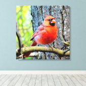 Rood kardinaal zomervierkant afdrukken (Insitu (Houten vloer))