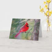 Rood kardinaalportret kaart (Gele Bloem)