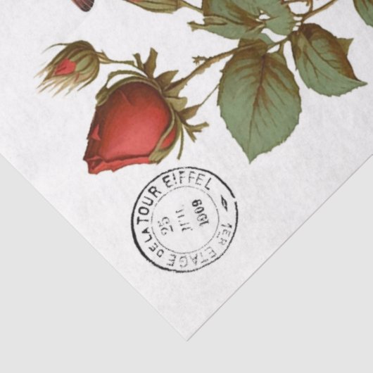 Rood kardinalen Klantenpapier Tissuepapier (Detail)