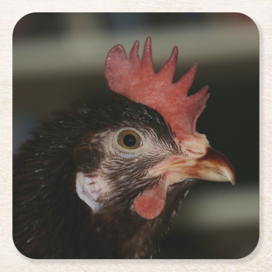 Rood Kartonnen Onderzetters (Voorkant)