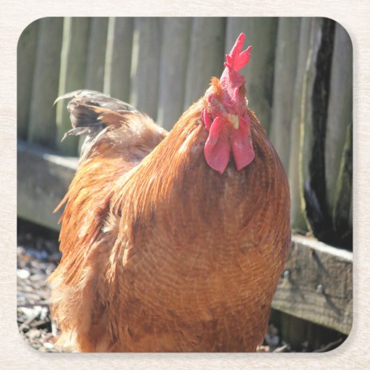 Rood Kartonnen Onderzetters (Voorkant)