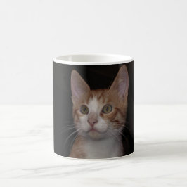 Rood kat - jonge kat, zwarte achtergrond koffiemok