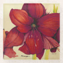 Rood kerstfeest Amaryllis Onderzetter