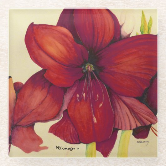 Rood kerstfeest Amaryllis Onderzetter Glazen Onderzetter (Voorkant)