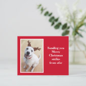 Rood kerstfeest voor rendieren met een teugelgliml briefkaart (Staand voorkant)