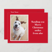 Rood kerstfeest voor rendieren met een teugelgliml briefkaart (Voorkant / Achterkant)