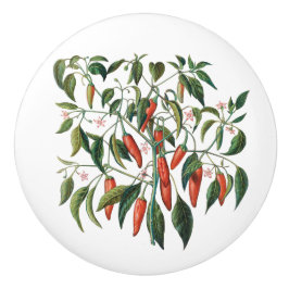 Rood-kinderpannen Botanische ronde knop