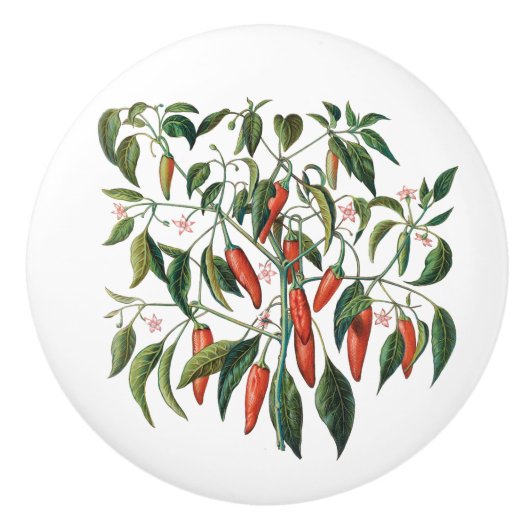 Rood-kinderpannen Botanische ronde knop (Voorkant)