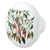 Rood-kinderpannen Botanische ronde knop (Rechts)