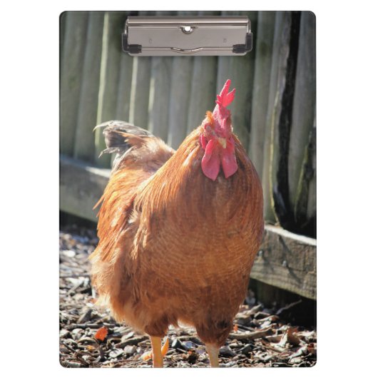 Rood Klembord (Voorkant)