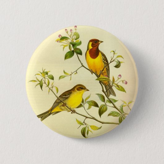 Rood-kopBunting Emberiza-bruneps Ronde Button 5,7 Cm (Voorkant)