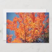 Rood laat pastoor waardering Schrift dank u Kaart (Achterkant)