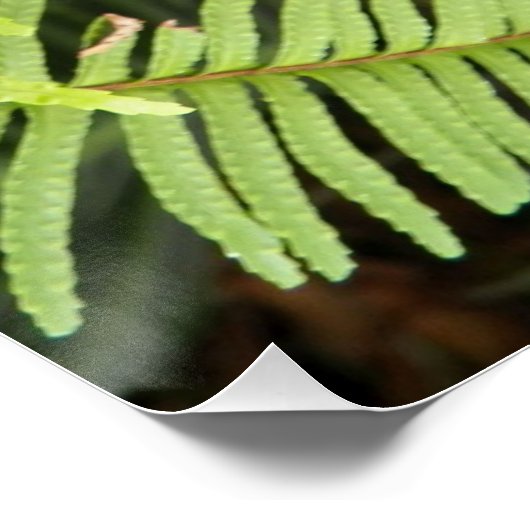 Rood Laceleaf Bloom Floral Perfect Poster (Hoek)