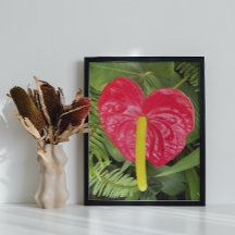 Rood Laceleaf Bloom Floral