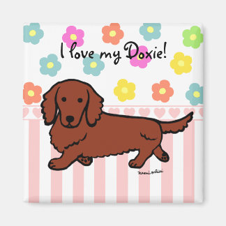 Rood Lang Haired Dachshund 1 Magneet