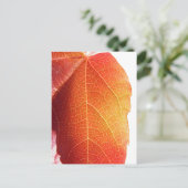 Rood leder briefkaart (Staand voorkant)