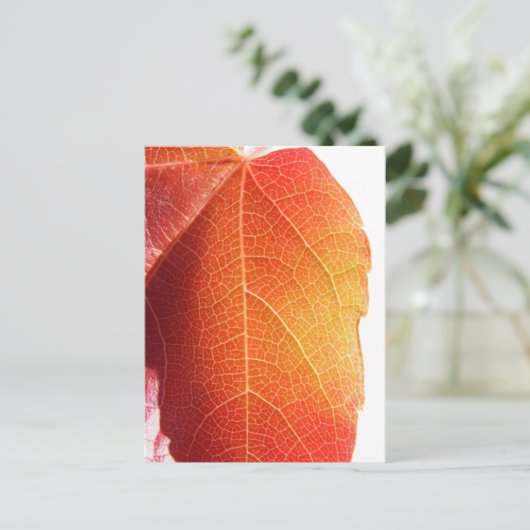 Rood leder briefkaart (Staand voorkant)