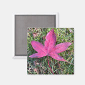 Rood leder magneet (Voorkant / Achterkant)
